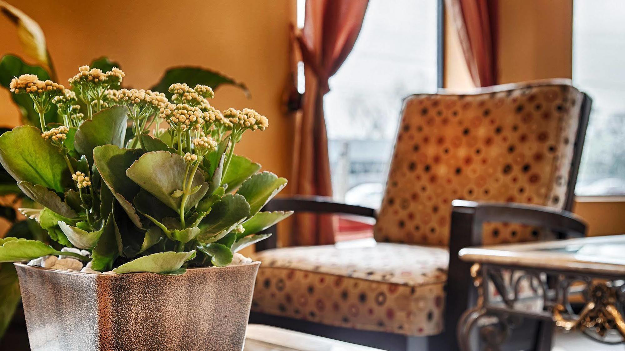 Econo Lodge Inn & Suites Fort Oglethorpe Nội địa bức ảnh